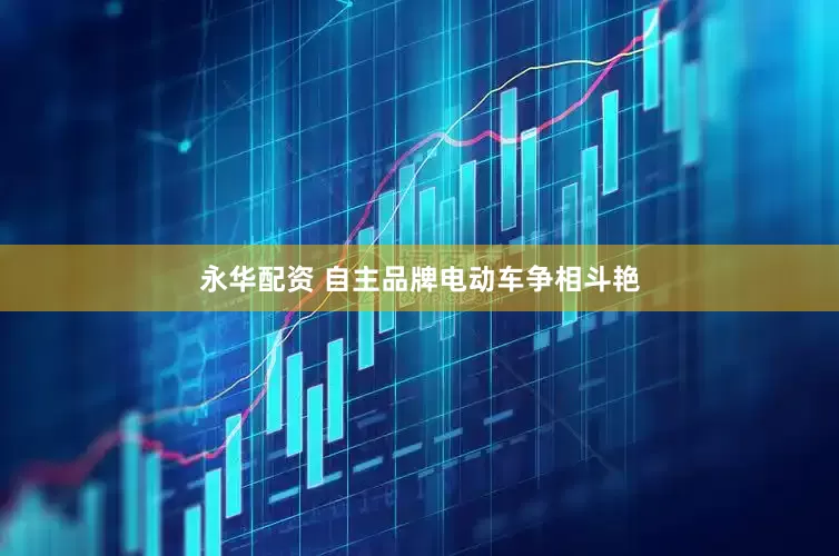 永华配资 自主品牌电动车争相斗艳