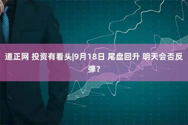 道正网 投资有看头|9月18日 尾盘回升 明天会否反弹？